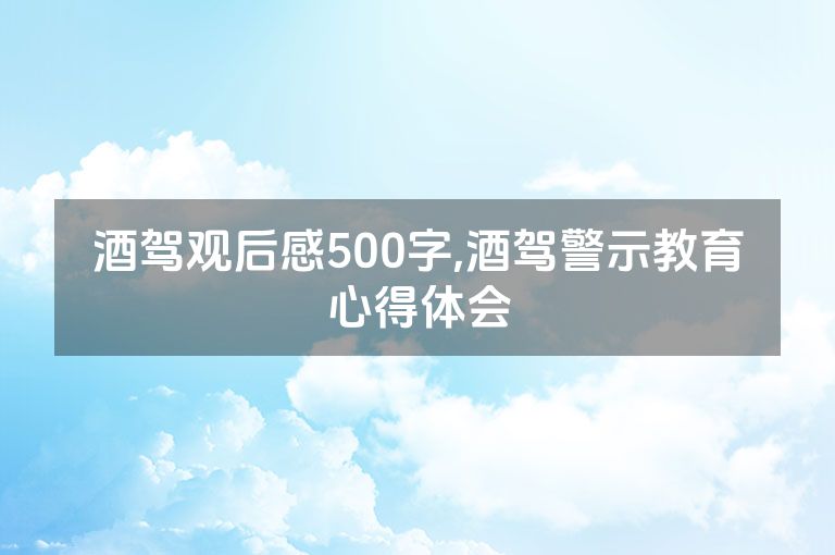 酒驾观后感500字,酒驾警示教育心得体会