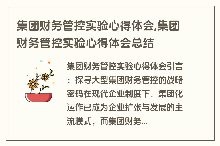 集团财务管控实验心得体会,集团财务管控实验心得体会总结
