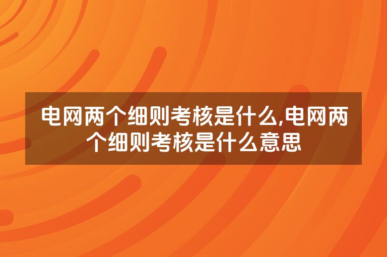 电网两个细则考核是什么,电网两个细则考核是什么意思